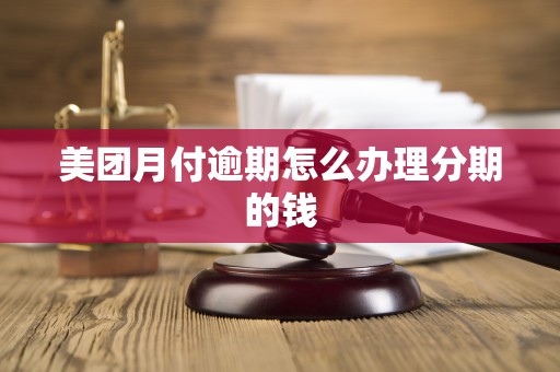 美团月付逾期怎么办理分期的钱