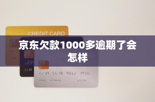 京东欠款1000多逾期了会怎样