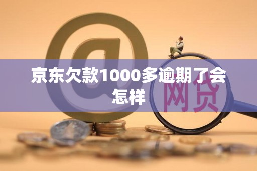京东欠款1000多逾期了会怎样