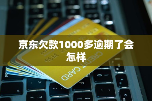 京东欠款1000多逾期了会怎样