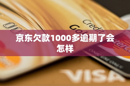 京东欠款1000多逾期了会怎样