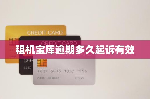 租机宝库逾期多久起诉有效