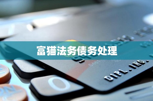富猫法务债务处理
