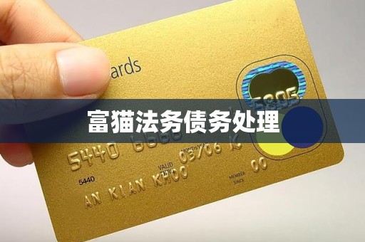 富猫法务债务处理