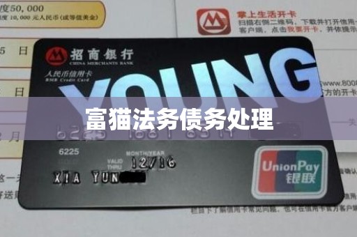 富猫法务债务处理