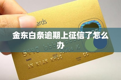 金东白条逾期上征信了怎么办