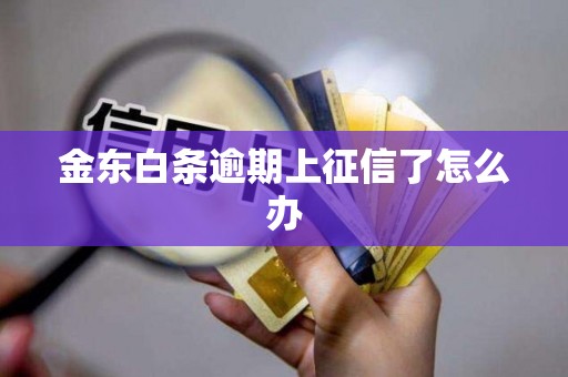 金东白条逾期上征信了怎么办 金东白条逾期上征信了怎么办