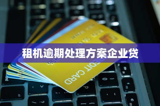 租机逾期处理方案企业贷