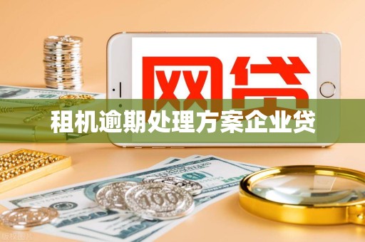 租机逾期处理方案企业贷
