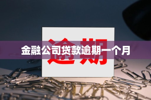 金融公司贷款逾期一个月
