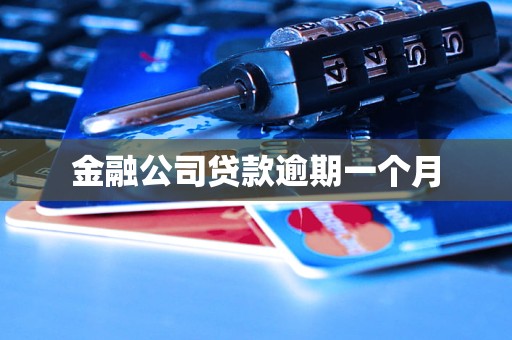 金融公司贷款逾期一个月