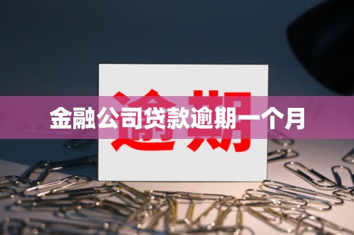 金融公司贷款逾期一个月