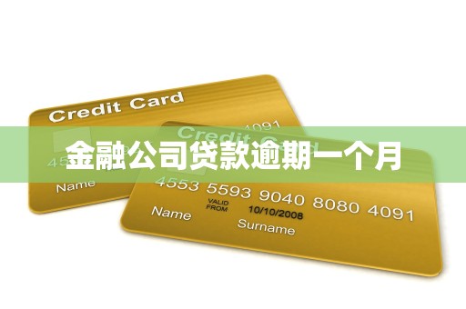 金融公司贷款逾期一个月