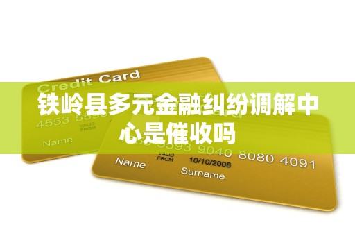 铁岭县多元金融纠纷调解中心是催收吗