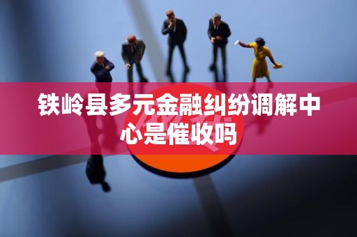 铁岭县多元金融纠纷调解中心是催收吗