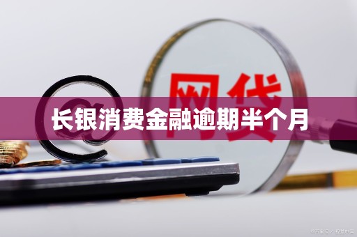 长银消费金融逾期半个月 长银消费金融逾期半个月