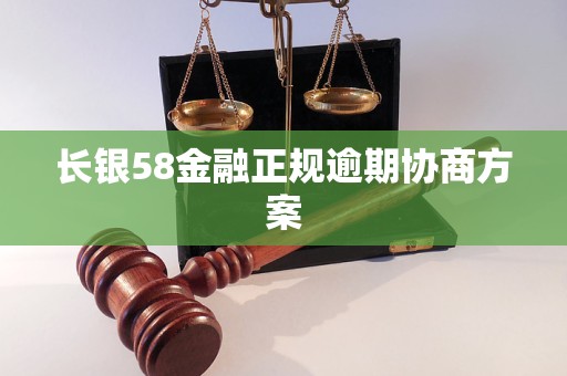 长银58金融正规逾期协商方案 长银58金融正规逾期协商方案