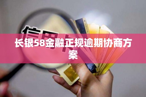 长银58金融正规逾期协商方案 长银58金融正规逾期协商方案