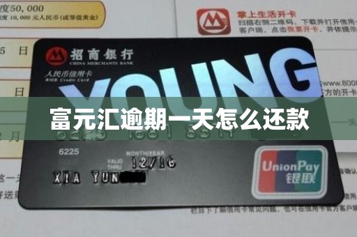 富元汇逾期一天怎么还款