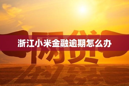 浙江小米金融逾期怎么办 浙江小米金融逾期怎么办