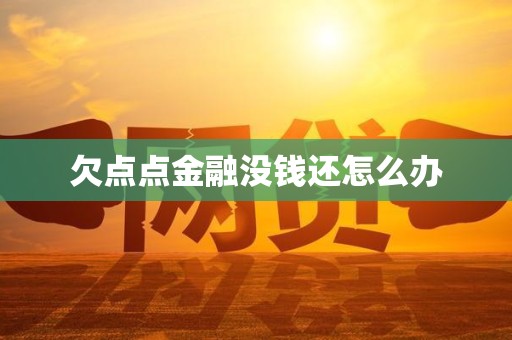 欠点点金融没钱还怎么办