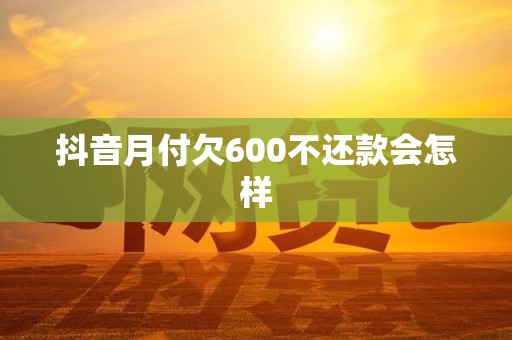 抖音月付欠600不还款会怎样