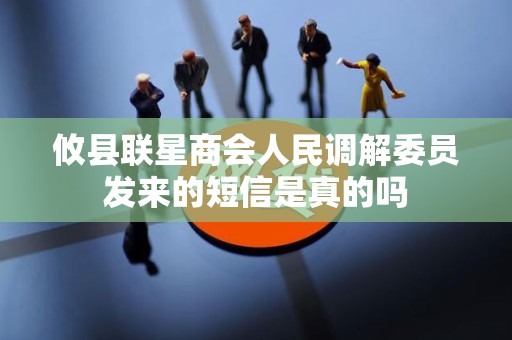 攸县联星商会人民调解委员发来的短信是真的吗