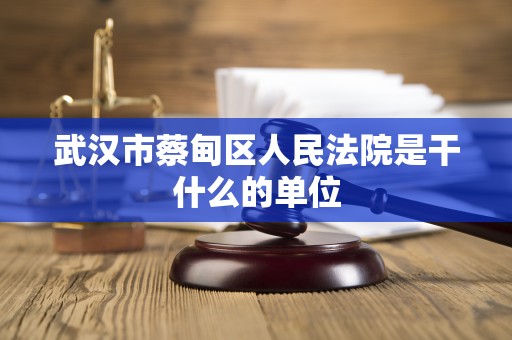 武汉市蔡甸区人民法院是干什么的单位