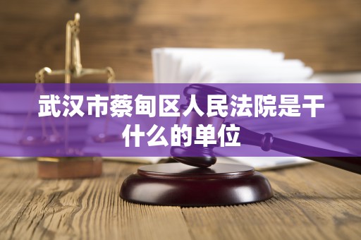 武汉市蔡甸区人民法院是干什么的单位