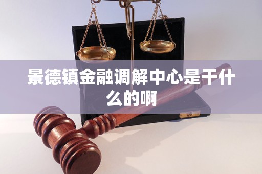 景德镇金融调解中心是干什么的啊
