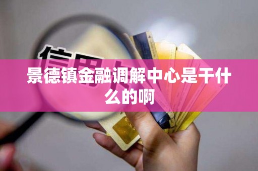 景德镇金融调解中心是干什么的啊