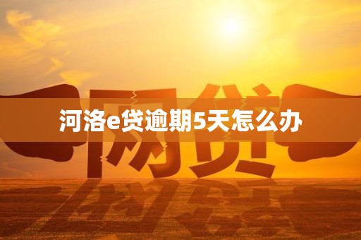河洛e贷逾期5天怎么办