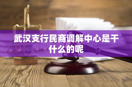 武汉支行民商调解中心是干什么的呢