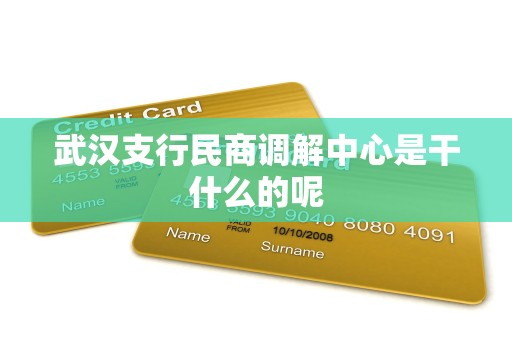 武汉支行民商调解中心是干什么的呢