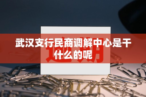武汉支行民商调解中心是干什么的呢