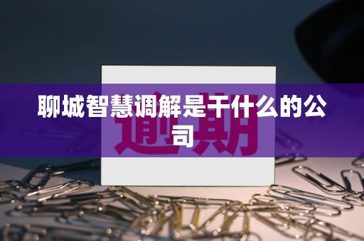 聊城智慧调解是干什么的公司