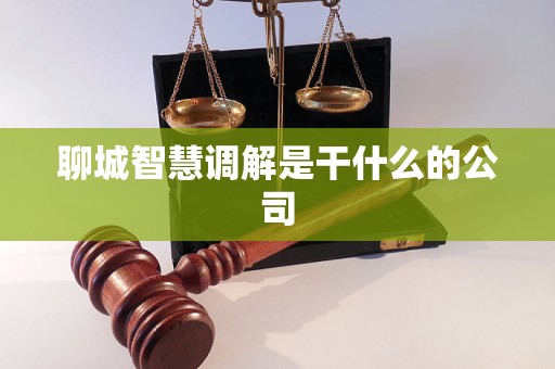聊城智慧调解是干什么的公司