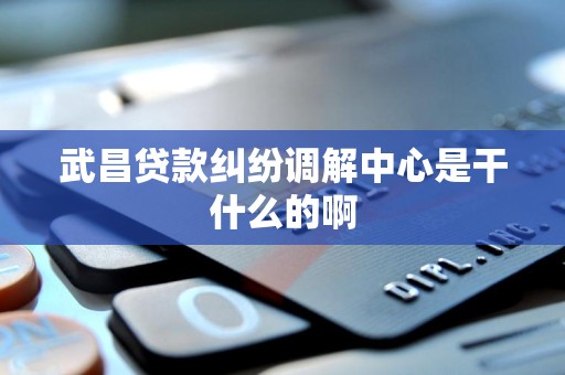 武昌贷款纠纷调解中心是干什么的啊