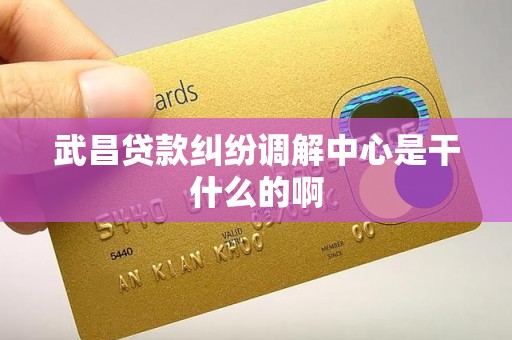 武昌贷款纠纷调解中心是干什么的啊