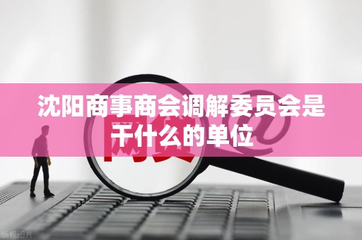 沈阳商事商会调解委员会是干什么的单位