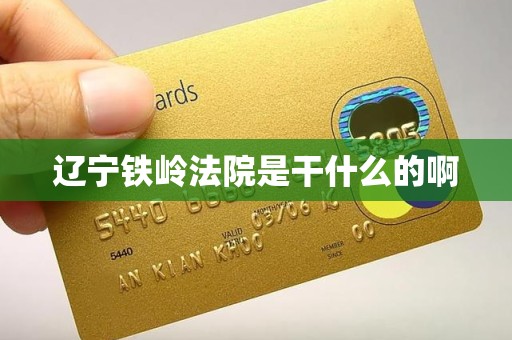 辽宁铁岭法院是干什么的啊