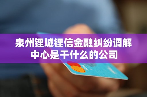 泉州锂城锂信金融纠纷调解中心是干什么的公司