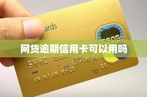 网贷逾期信用卡可以用吗 网贷逾期信用卡可以用吗