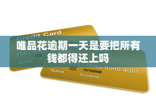 唯品花逾期一天是要把所有钱都得还上吗