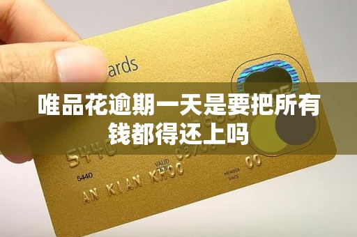 唯品花逾期一天是要把所有钱都得还上吗 唯品花逾期一天是要把所有钱都得还上吗