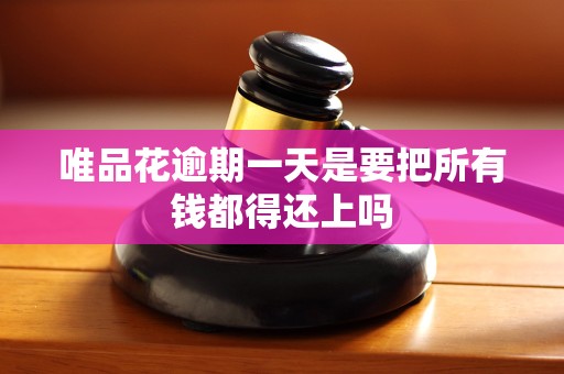唯品花逾期一天是要把所有钱都得还上吗 唯品花逾期一天是要把所有钱都得还上吗