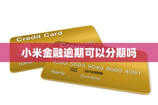 小米金融逾期可以分期吗