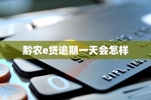 黔农e贷逾期一天会怎样