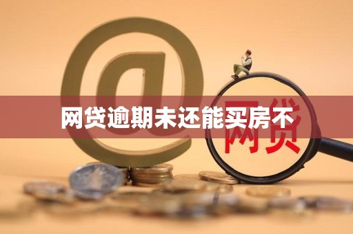 网贷逾期未还能买房不