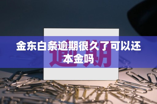 金东白条逾期很久了可以还本金吗